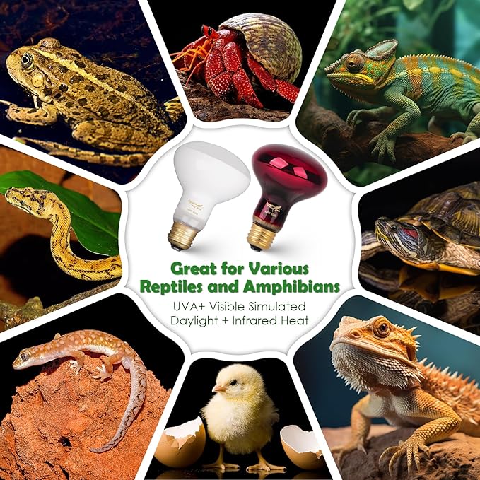 Reptile Heat Lamp Red Light Bulbs for Reptiles, 2PCS 100W Day and Night Infrared Heating Lamp Emitter UVA Daylight Basking Light Reptile Light Bulb for Bearded Dragon Lizard Turtle Gecko Snake Chicken