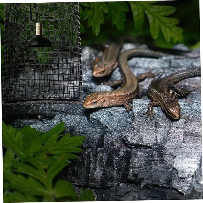 DOITOOL 1pc Heating Lamp Shade for Reptiles Anti-scalding Cover Efficient Heat Dissipation Durable Habitat Decor for Terrarium Lighting