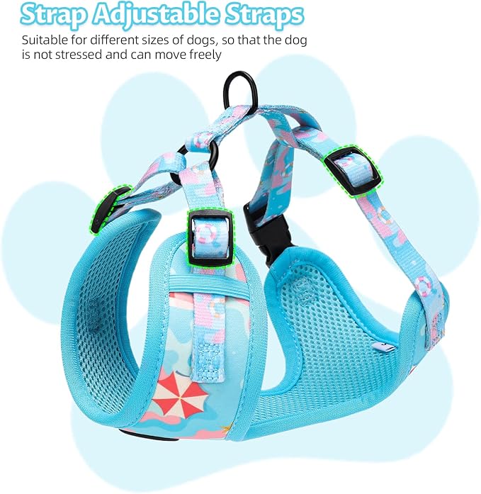 Small Dog Harness and Leash Set of 6, No Pull Soft Lightweight Mesh Puppy Harness， Adjustable Cute Floral Pattern Pet Harness for Small Medium Dogs (Blue Sea, M)