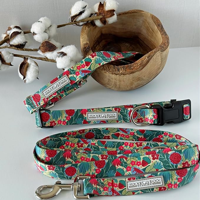 Lucky Love Dog - Easy Click Buckle Dog Collar with Leash Set Combo, Durable & Comfortable for Male & Female Dogs, Pet Collar for Medium Dogs, Secure Fit - Ginny Combo, Medium