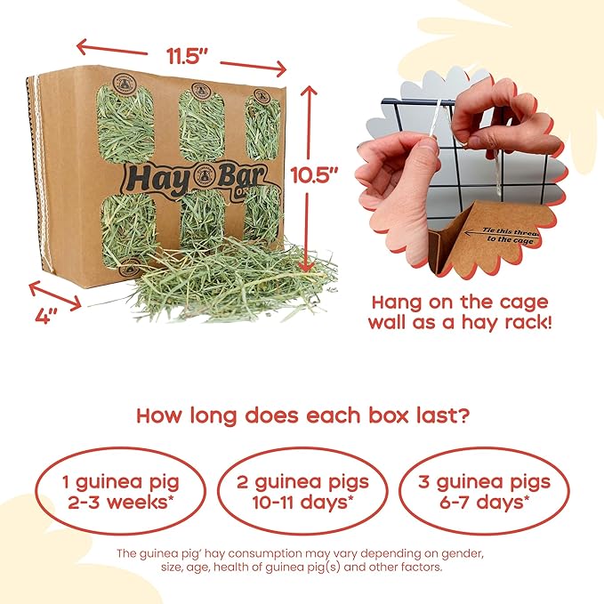 GuineaDad Guinea Pig Orchard Hay Bar – 5 Pack of Guinea Pig Hay – Premium Hay for Guinea Pigs, Rabbits, and Chinchillas – Filtered, Fresh, and Easy to Feed