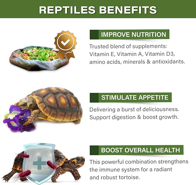 Gargeer 2oz Forest Tortoise Food Supplement, Flower Salad Mix Topper. Supercharge Juveniles & Adults Appetite, Health & Immune System. Complete Diet, Rich with Vitamins, Made in The USA. Enjoy!
