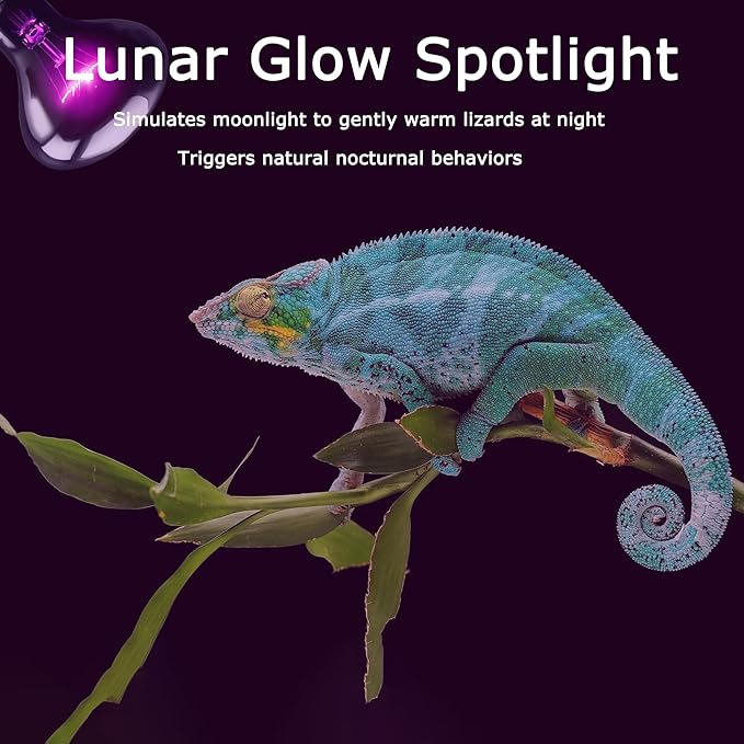 60W Reptile Night Light Bulb, Purple UVA Heat Lamp with Simulated Moonlight Effect, Night Basking Lamp for Bearded Dragons, Lizards, Snakes & Amphibians, Terrarium & Aquarium Use, 2 Pack