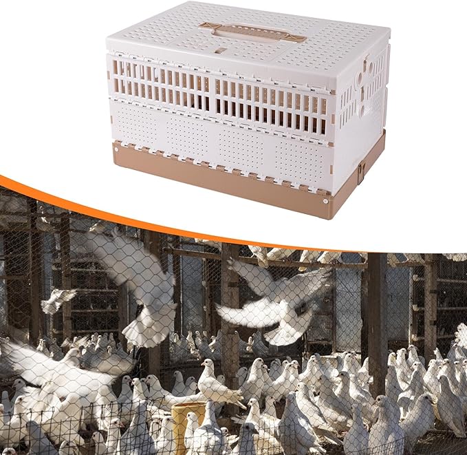 Pigeon Cage,Carrier Box,Outdoor,Foldable Bird Travel Carrier Cage Pigeon Nest Box for Transportation Release Fledglings Doves