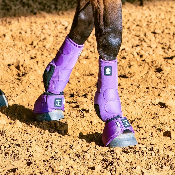 Classic Equine Legacy2 Support Boots, Front (Violet Purple, Small)