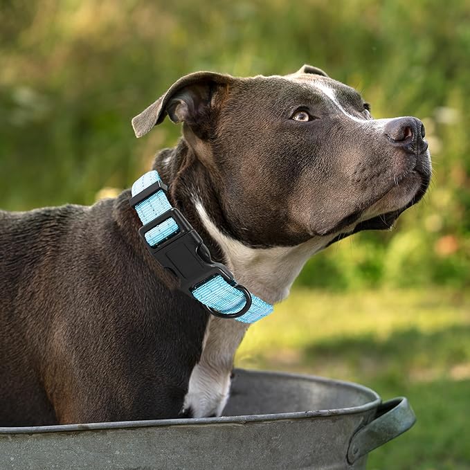 Mile High Life Night Reflective Double Adjustable Band Nylon Small Puppy Pet Dog Combo Collar Leash and Harness Set (Reflective Solid Blue, Large (Pack of 3))