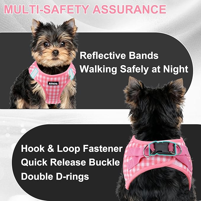 AIITLE No Pull Dog Harness and Leash Set, Step in No Chock Soft Mesh Dog Harnesses Reflective for Extra-Small Puppy Dogs and Cats, Plaid Dog Vest Harness for Pets Watermelon XXS