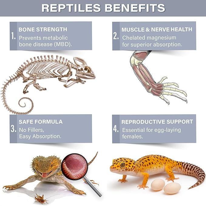 Gargeer 'Magnesium & Calcium' Supplement for All Reptiles | Dual Mineral Support for Strong Bones, Muscle & Nerves Function | Chelated Magnesium for Better Absorption | 3oz | Made in USA