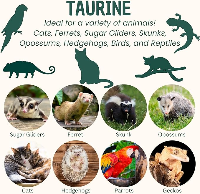 Taurine Powder | Food Topper for Heart, Vision & Daily Wellness | Amino Acid Supplement for Small & Large Pets