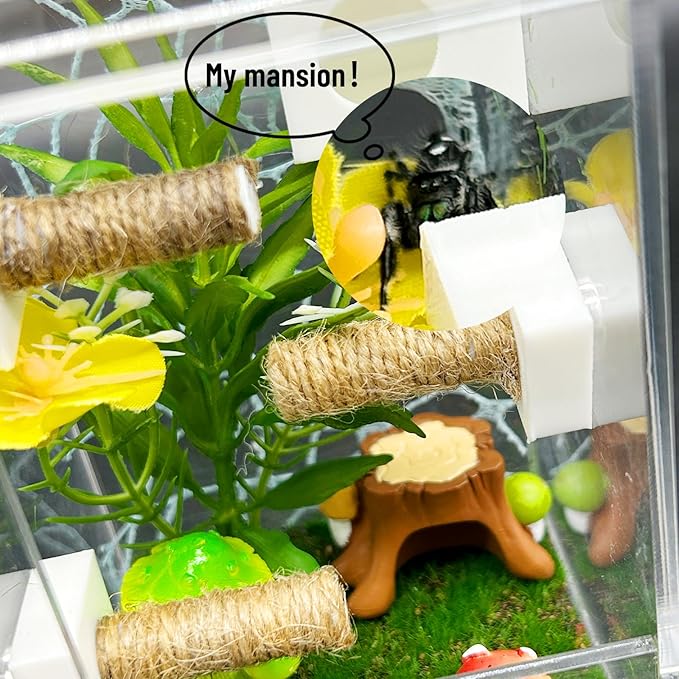Jumping Spider Enclosure,DIY Insects Habitat,Small Reptile Terrarium Glass House Accessories Set,with Jumping Platform Hide Climbing Net(Green 2)