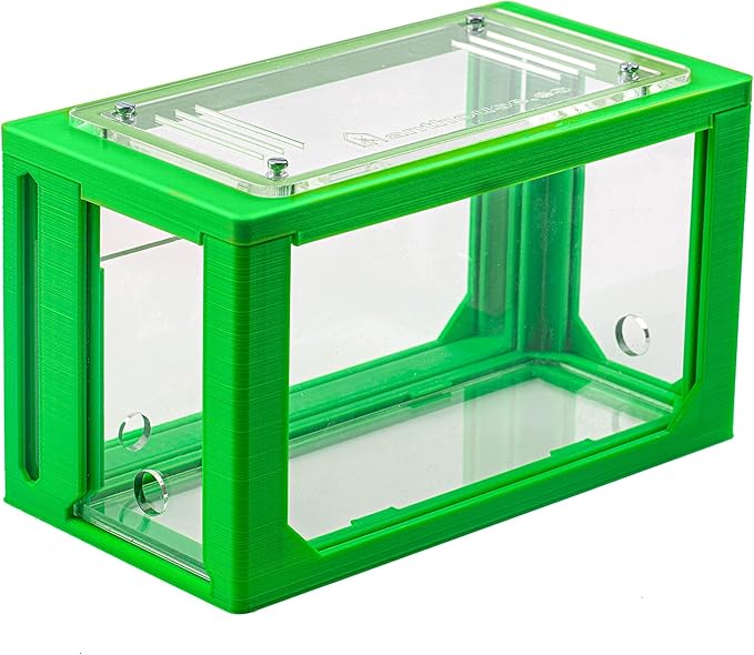 Anthouse.ES - 3D Aquarium-Style Natural Ant Farm - Sand Ant Farm - Complete Kit with Sand and Accessories - Starter Model 20x10x10 cm - Green Color