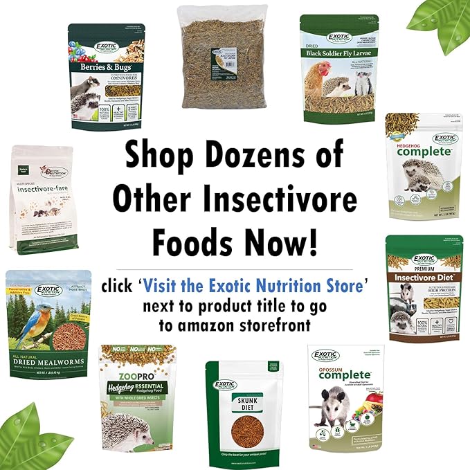 EZ-Worms (10 lb) - Blend of Dried Mealworms & Black Soldier Fly Larvae (BSFL) - Healthy Insect Treat - Chickens, Bluebirds, Sugar Gliders, Hedgehogs, Squirrels, Skunks, Reptiles, Turtles, Fish