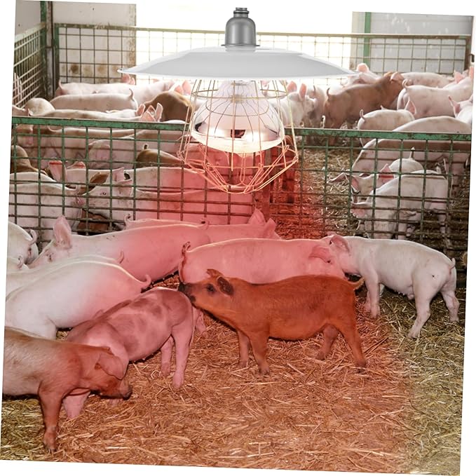 BESPORTBLE Reptile Warm Keep Lamp Pet Warming Light Breeding Heating Lamp Poultry Heat Preservation