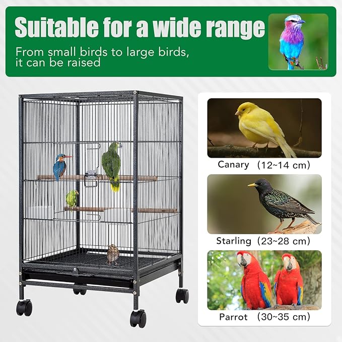 BestPet 35 inch Wrought Iron Bird Cage with Play Open Top and Rolling Stand,Large Parrot Cage Bird Cages for Parakeets,Cockatiel, Canary, Finch, Lovebird, Parrotlet,Pigeons (35 inch)