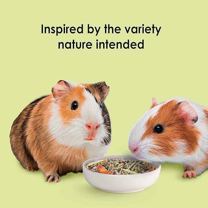 Kaytee Food from The Wild Natural Pet Guinea Pig Food,4 Pound,(Pack of 2)