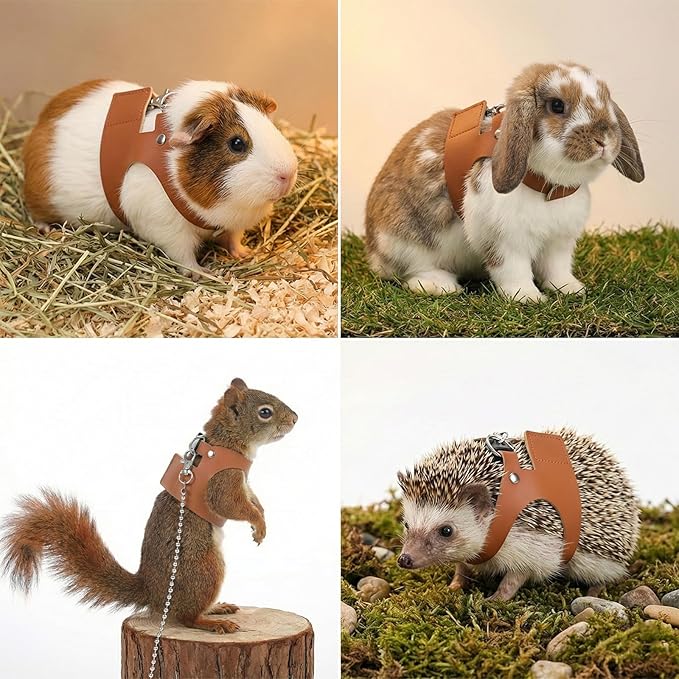 3 Pack Bearded Dragon Leash and Harness Set Adjustable Soft Leather Small Animal Harness Leash Traction Rope for Small Pet Walk Jogging Bearded Dragon Reptile Squirrel Rat