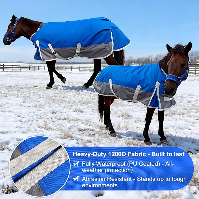 Winter Horse Blanket for Pony, Foal, Donkey, Mini Horses| Turnout Blanket for Winter | Waterproof | 1200 Denier | Blue Grey | 55 Inch