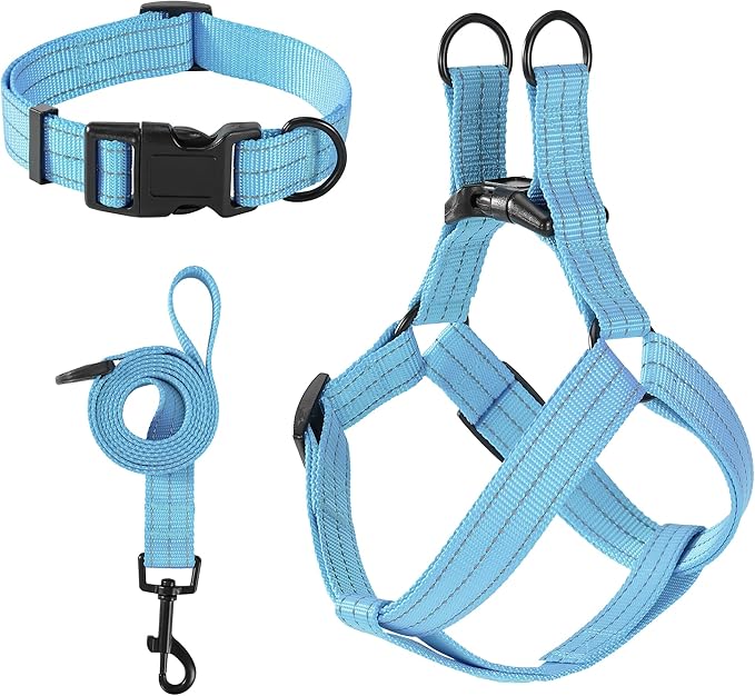 Mile High Life Night Reflective Double Adjustable Band Nylon Small Puppy Pet Dog Combo Collar Leash and Harness Set (Reflective Solid Blue, Large (Pack of 3))