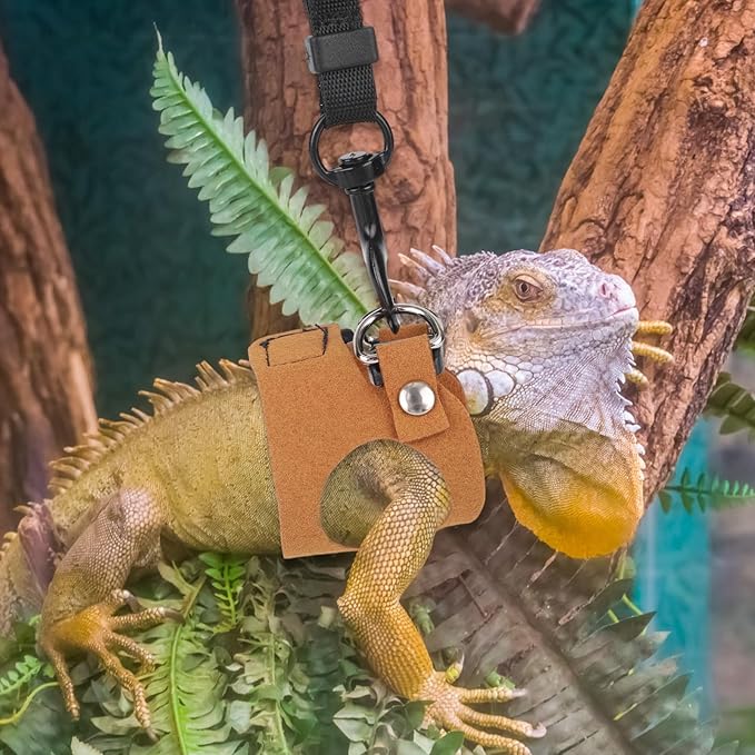 Bearded Dragon Leash & Harness Set, Adjustable Lizard Harness Cool Animals Accessories for Small Pet Animals Reptile Outdoor Safety Walking (S, M, L)