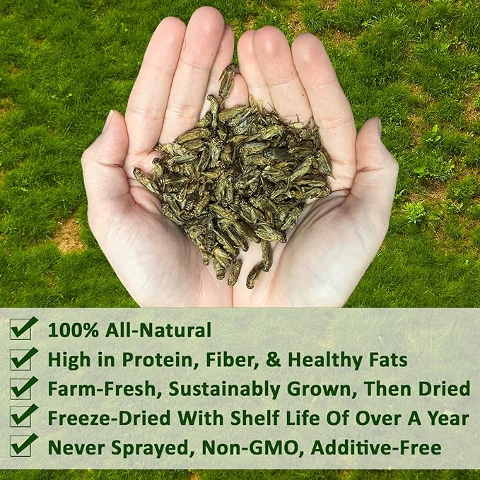Dried Crickets (2.2 lb.) - High Protein Insect Treat - Chickens, Wild Birds, Hedgehogs, Bluebirds, Reptiles, Sugar Gliders, Opossums, Skunks, Lizards, Bearded Dragons, Fish, Amphibians, Turtles