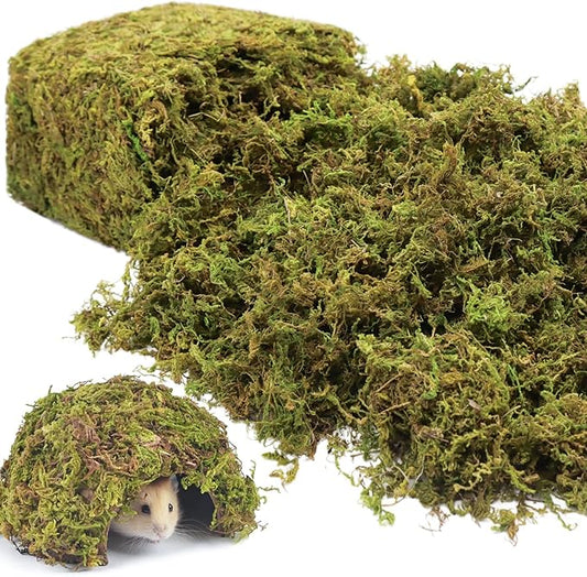 Riare 25QT Natural Sphagnum Moss for Reptiles -Soft Forest Reptiles Moss Bedding Nesting for Hamsters, Terrarium, Mices, Snakes, Turtle, Frog, Gecko Leopard (1.3LB)