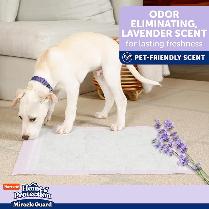 Hartz Miracle Guard Dog and Puppy Dog Pads Max Absorbency 24 Hour Use Odor Eliminating Lavender Scented No Leaks, 2XL Size 20 Count