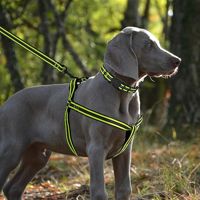 Mile High Life Night Reflective Double Adjustable Band Nylon Small Puppy Pet Dog Combo Collar Leash and Harness Set (Reflective Stripe Lime Green, Large (Pack of 3))