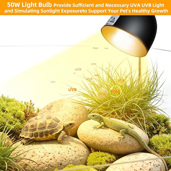 COOSPIDER 50W Reptile Heat Lamp with Clamp & Timer, Small Turtle Basking Light Fixture 360° Rotatable Hose with 2 Spare G9 Base Bulbs for Plants Small Reptiles Bearded Dragon Lizard Snake