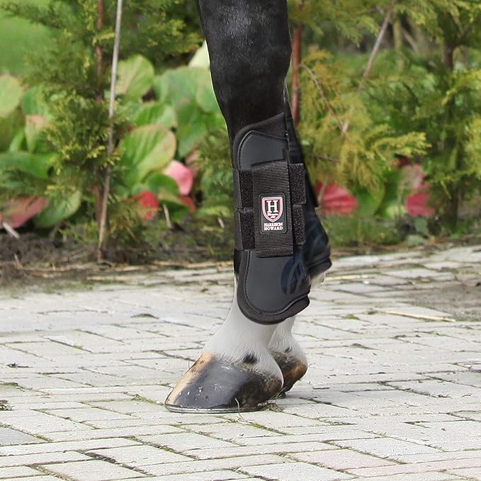 Harrison Howard Horse Tendon Boots Open Front/Fetlock Boot for Horse Protective Boots for Jumping, Trail Riding Set of 4