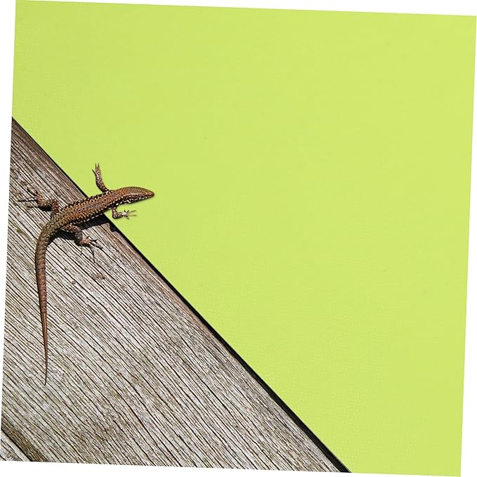 2Pcs Reptile Terrarium Mat Green Non-Absorbent Floor Bedding for Climbing Pets Tortoise Lizards Easy-Clean Substrate for Tank Cage