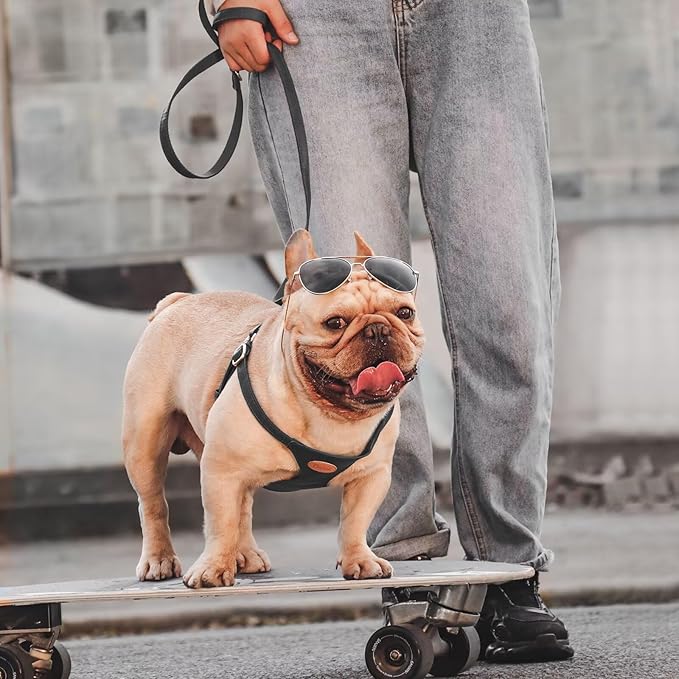 Beirui ‌Stylish PU Leather Dog Harness‌ and Leash Set for Small Dogs, ‌Adjustable Step in Dog Vest Harness with Breathable Mesh Lining and Durable Metal Buckle for Walking Traveling(Black,M)