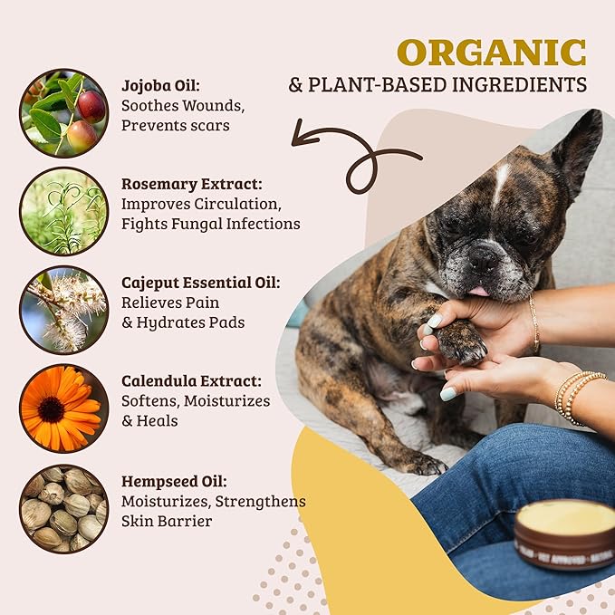 Natural Dog Company Paw Soother Balm & Wax - Dog Paw Balm & Moisturizer for Dry, Cracked Paw Pads, Helps Moisturize & Condition Worn Paws, Coconut Oil & Calendula, Daily Paws Care, 4 oz Tin