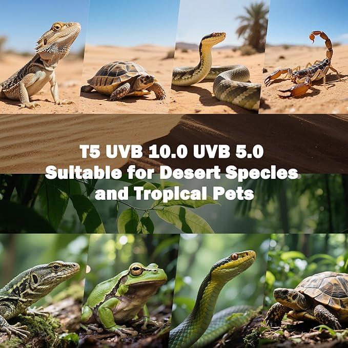 T5 10.0 UVB Reptile Light Fixture, 24W 22" T5 UVA/UVB Fluorescent Tube Bulb for Bearded Dragon, Tortoise, Leopard Gecko, Desert Lizards