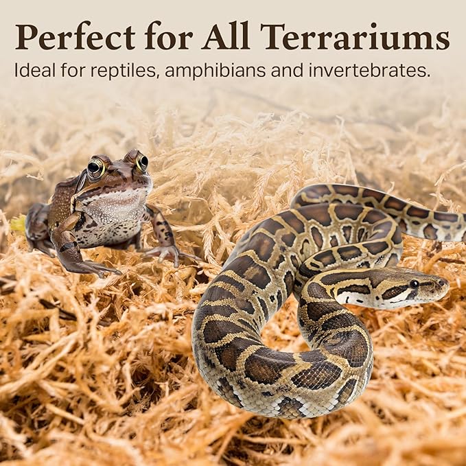 The Habitat Life - Natural Sphagnum Moss - for Reptiles, Amphibians & Invertebrates Terrariums - Humidity Control - Ideal for Burrowing & Nesting - Dye-Free & Safe - Small - 2 Pack