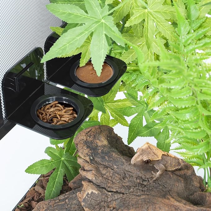 WACOOL Magnetic Reptile Ledge 2PACK, Acrylic Gecko Feeding Ledges with 6PCS Cups, Reptile Food Water Feeder Dish for Geckos Iguana Chameleon Pets