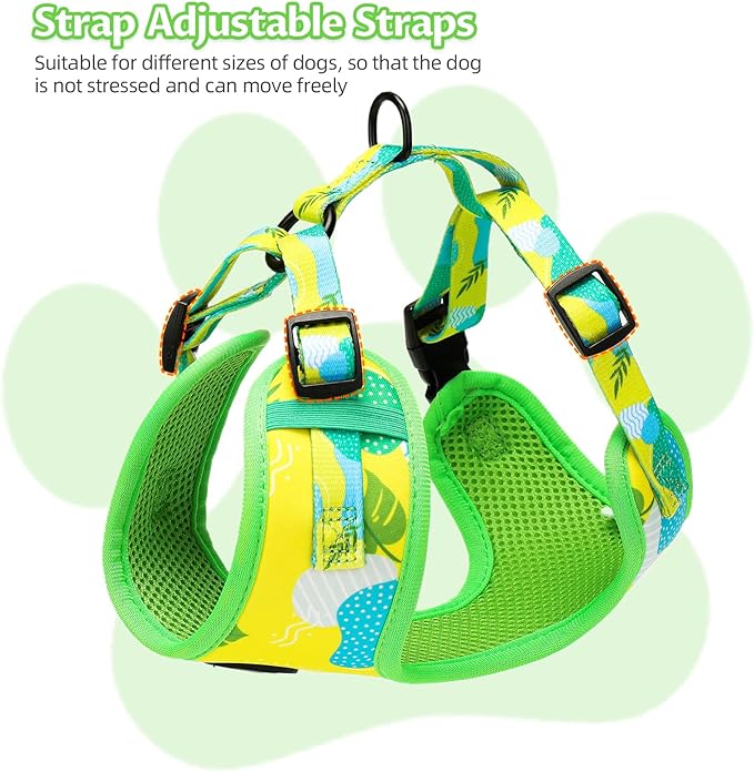 Small Dog Harness and Leash Set of 6, No Pull Soft Lightweight Mesh Puppy Harness， Adjustable Cute Floral Pattern Pet Harness for Small Medium Dogs (Green Leaf, XS)