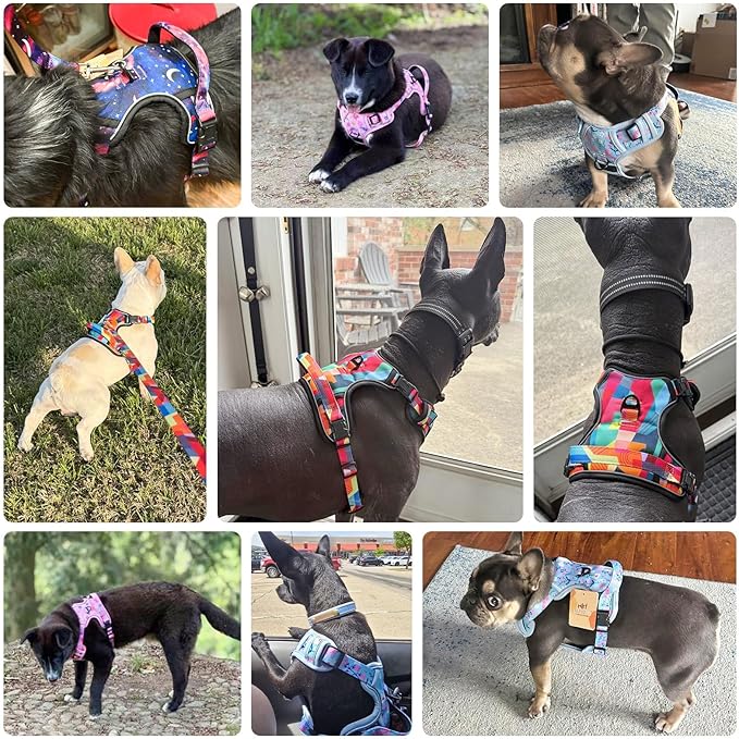 BEAUTYZOO No Pull Dog Harness, Adjustable Dog Harness and Leash Set -Easy Wearing with 3 Buckles/Control Handle,No Choke Soft Padded Reflective Pet Vest for Training Walking Hiking,Solid Aqua Blue XL