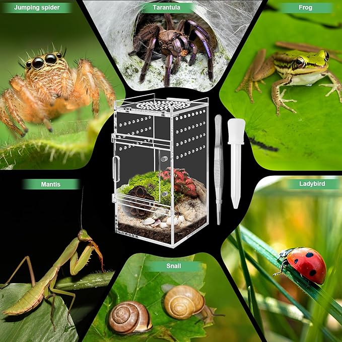 Jumping Spider Enclosure, 3x3x6 Inch Acrylic Terrarium with Magnet Opening Door & Tweezers, Suitable for Tarantula & Praying Mantis