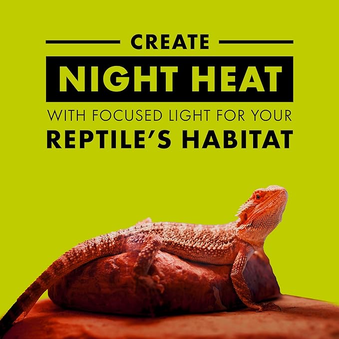 Zilla Incandescent Spot Bulb, for Nocturnal Reptile Species, Night Red (Pack of 2)