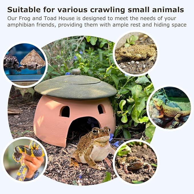 Terracotta Reptile Cave with Green Lid - 8 * 6 Inches Hiding Place for Toad, Frog, Turtle, Lizard