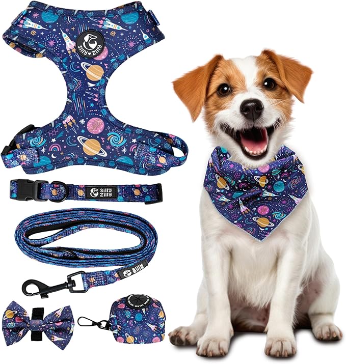 No Pull Harness and Leash Set - 6-in-1 Adjustable Vest Harness and Collars for Medium and Large Dogs. (Cosmic, Medium)