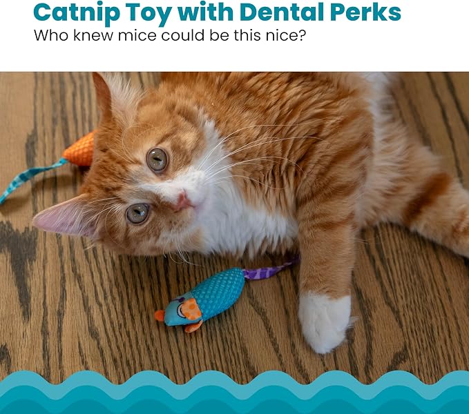 Catstages Catnip Chew Mice 2 Pack?€? Interactive Dental Cat Chew Toy that Helps Clean Teeth, Mouse, Multicolored - Image 2