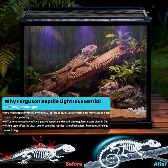 UVB Light for Reptiles, 16IN 12W LED UVA UVB Terrarium Lamp with 4 Auto Modes for Ferguson Zones, Terrarium Lamp for Bearded Dragons, Leopard Gecko, Snake, Turtle & More