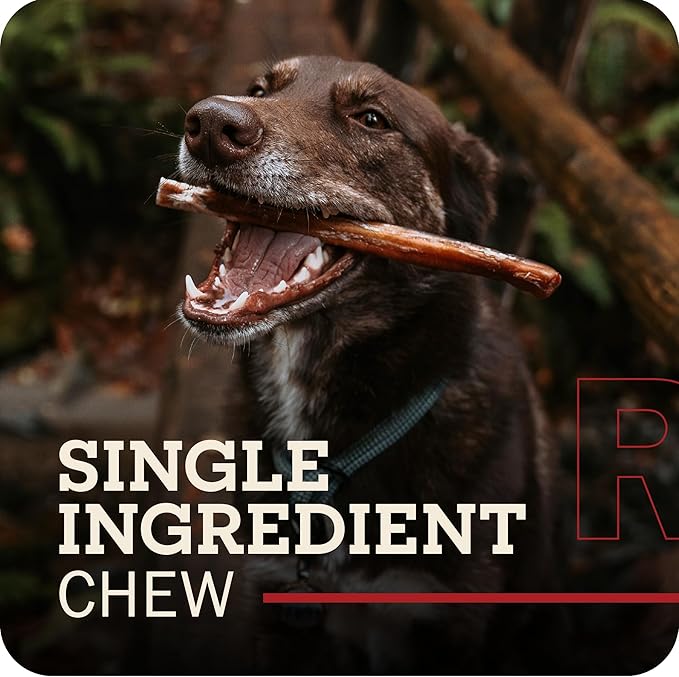 Redbarn Pet Products 9" Bully Sticks for Dogs, Pack of 50