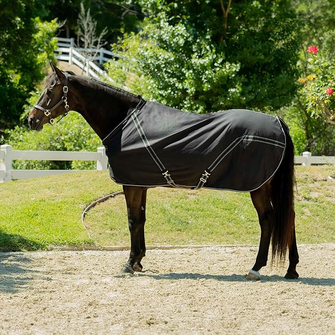 Equinavia Fryd 100% Cotton Stable Blanket for Horses | No Fill - Black - 76 in