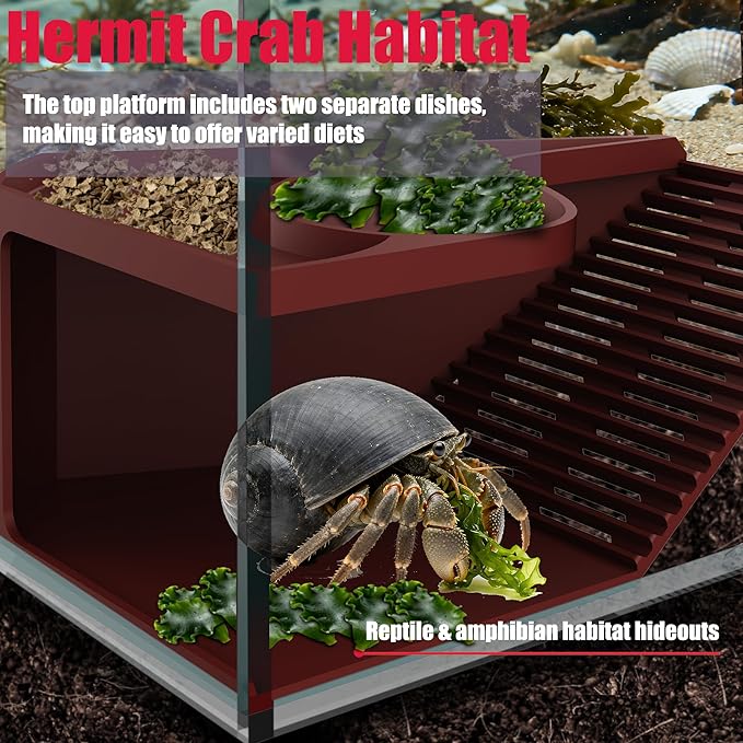 Hermit Crab Hideout with Climbing Tunnel | Hermit Crab Climbing Toys| Hermit Crab Water Tank Accessories |Hermit Crab Habitat, Also Suitable for Sea Turtles, Lizards and Tarantulas