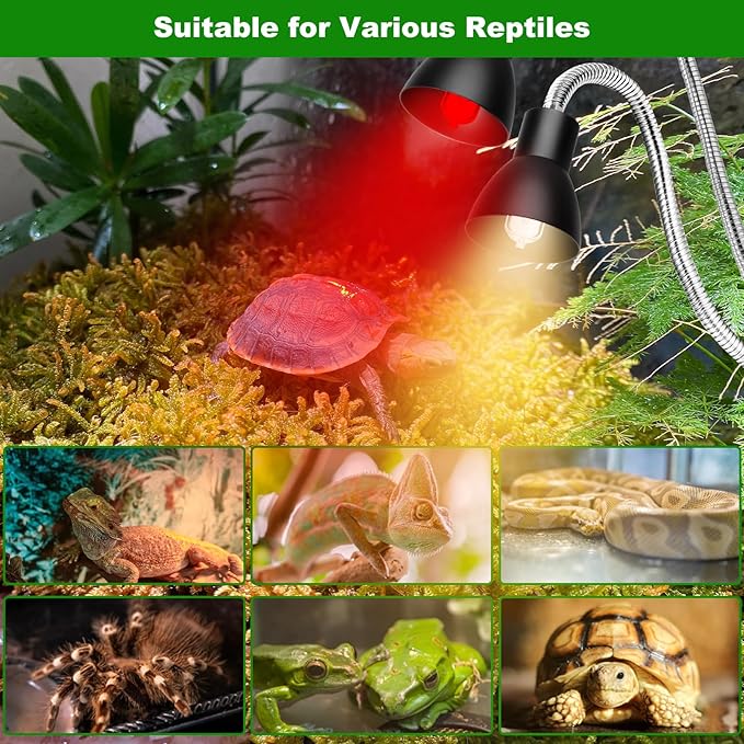 Heat Lamp for Reptile,UVA UVB Light for Turtle,Bearded Dragon Basking Light Bulbs,Dimmable 360°Gooseneck UV Heating Lamp W/ G9 Mini Halogen Bulbs 60W (White*2，Red*2) for Tortoise/Snake/Lizard