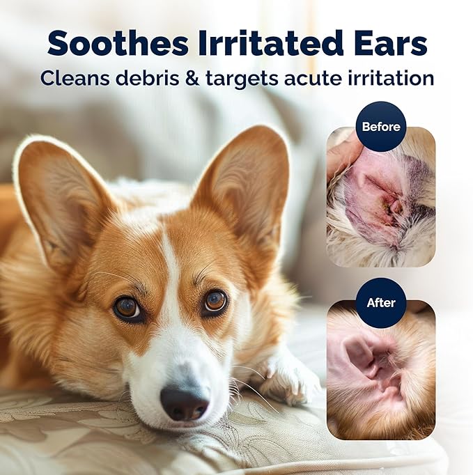 Vetnique Oticbliss Advanced Strength Dog Ear Infection Treatment Flush, Antiseptic Cat & Dog Ear Cleaner Solution Medicated with Chlorhexidine & Ketoconazole Helps with Ear Yeast (12oz Flush)