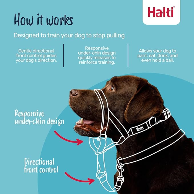 Halti Headcollar - Stop Your Dog Pulling on The Leash. Adjustable, Reflective and Lightweight, with Padded Nose Band. Dog Training Anti-Pull Collar for Small Dogs (Size 1, Desert Sand)