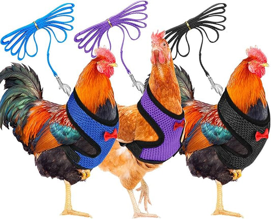 Boao 3Pieces Adjustable Chicken Harness and Leash Set Spring Summer Breathable Comfortable Elastic Hen Vest Breathable Harness for Hens Duck Goose Pet Training Walking Supplies(M,Blue, Black, Purple)